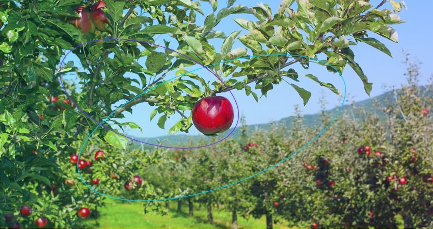 Fruit growers in Colorado use Sigfox enabled IoT solution to track weather